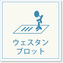ウェスタンブロット